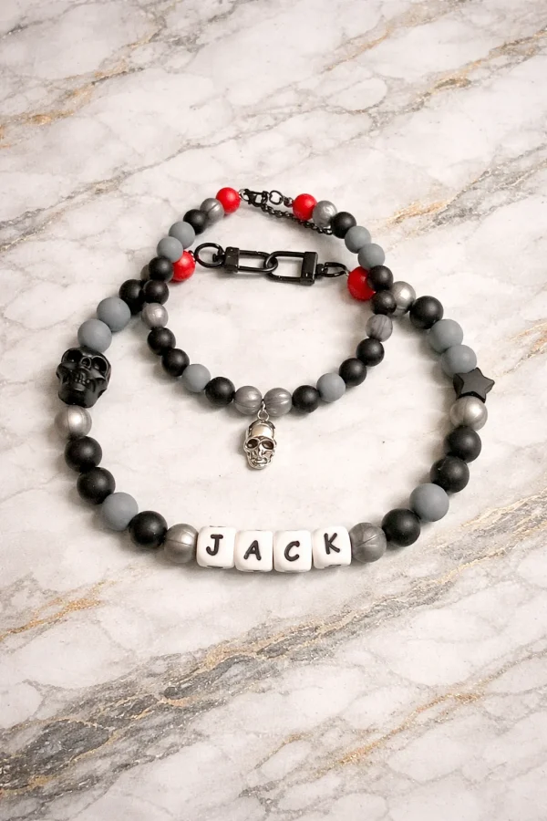 Duo Rock - Collier personnalisé chien & chat avec bracelet