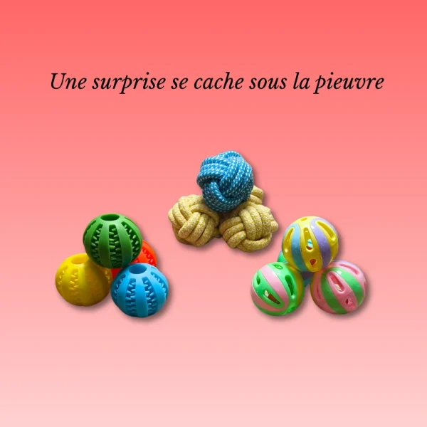 Image du produit