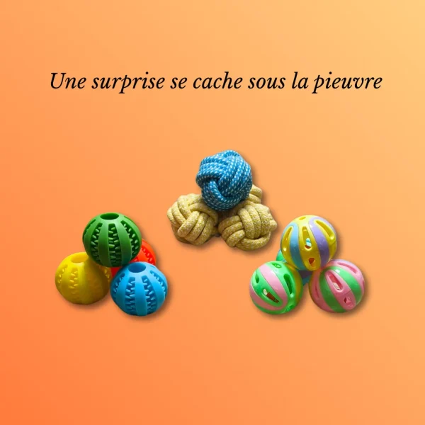 Image du produit