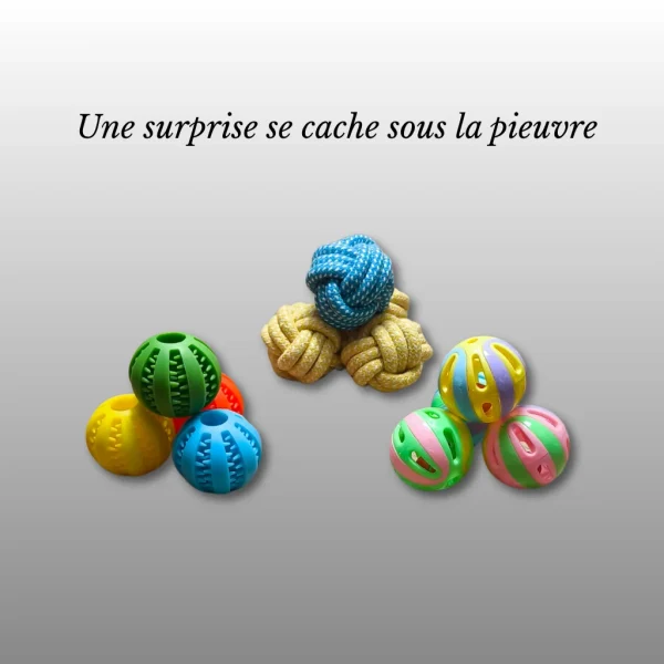 Image du produit