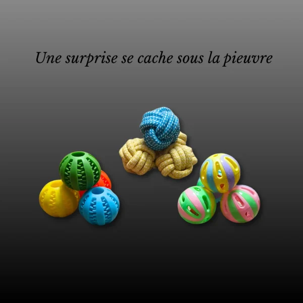 Image du produit